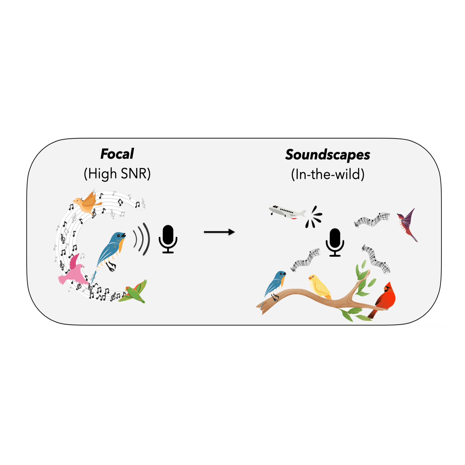 In search of a generalizable method for source-free domain adaptation